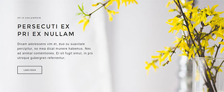 Content Block 1 — Quix block for Joomla