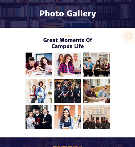 College - Photo Gallery — Education layout kit