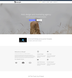 Home - Creative Agency — Morph layout kit