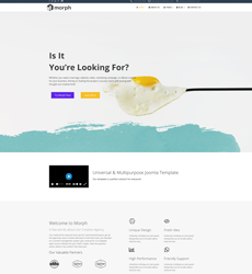 Home - Agency — Morph layout kit