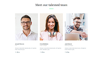 Team 15 — Quix block for Joomla