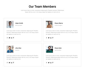Team 11 — Quix block for Joomla